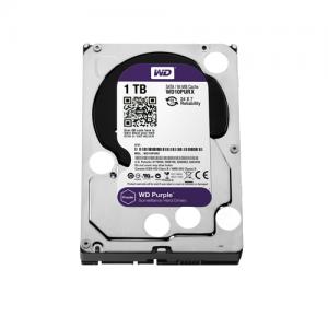 Western Digital Purple 1TB Surveillance Hard Drive price in Hyderabad, telangana, andhra